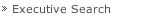 Executive Search